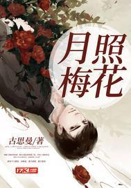 月照梅花 月照梅花